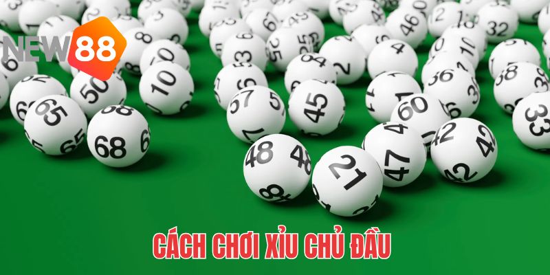 Chủ đặc biệt chỉ áp dụng cho giải đặc biệt, còn gọi là 3 càng